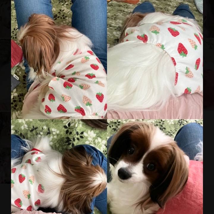 706947fc dc19 4481 80a1 c8d6b078f500 1740532724622