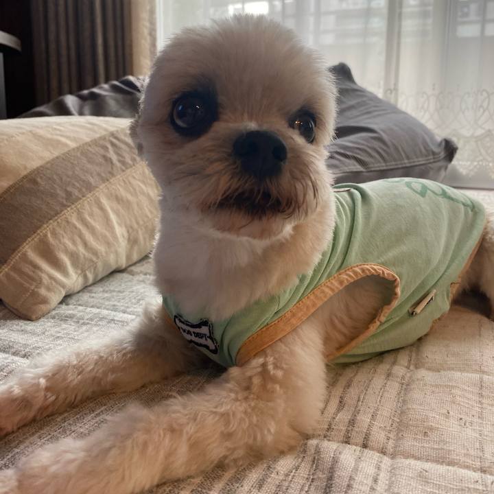 70695e2e 3c55 4df2 a9a2 2f9abf8c9c3e 1759225075486