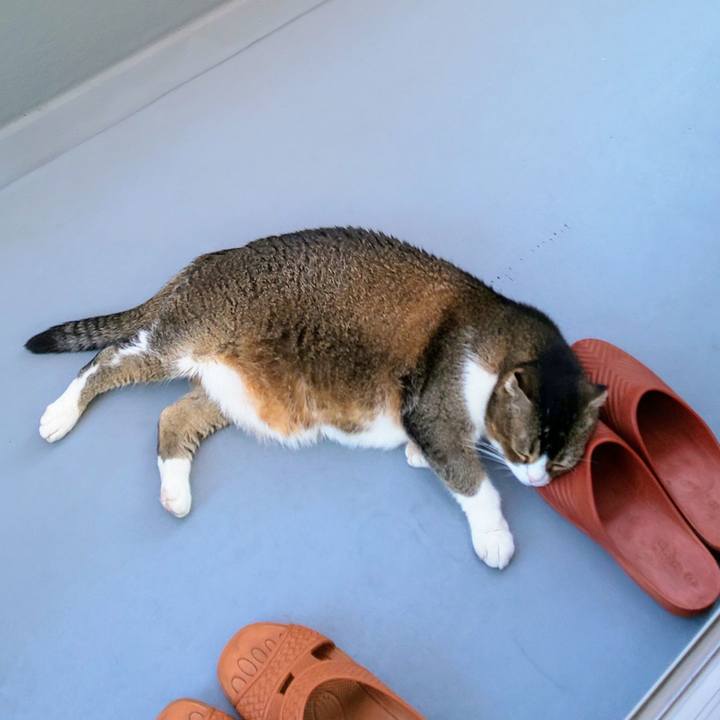 706998d2 2140 4942 8ff6 5c59298cec8c 1750285463037