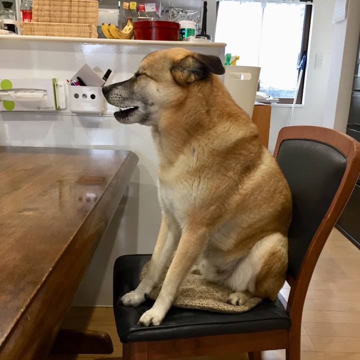 7069a778 5e76 4eb1 80ce 740a89d32f63 1526182511550