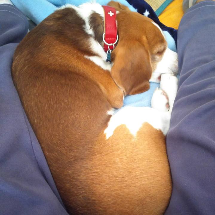 7069b54f 8ec0 4c35 ac35 006b630153b0 1637645943276