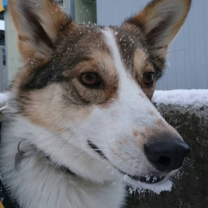 7069ce5d c63e 4d46 ab5d e3308f84d3ff 1515301387401