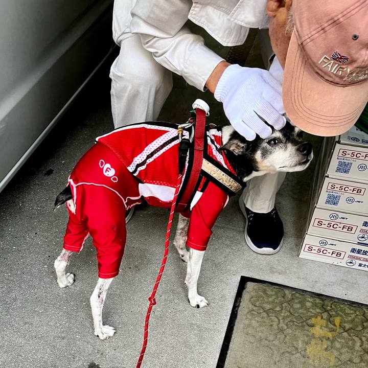 7069e158 fc79 4ec9 9094 6e31211f0bb8 1650836630872