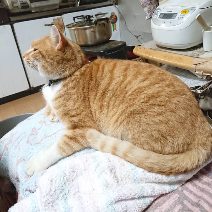 706a5560 8f32 483f 9b4b 748eedae8737 1606728404264