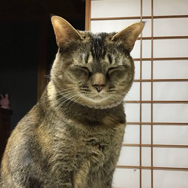 706a61fa 3fba 4d7d b397 9fd0e7cbf998 1676626319779