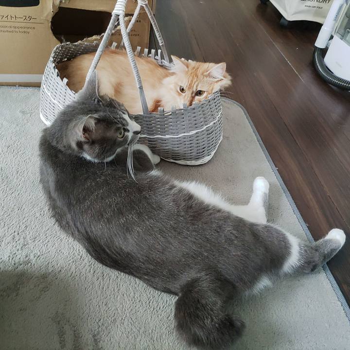 706a65fe 7ad8 413a a875 3969ac37c965 1659760327161