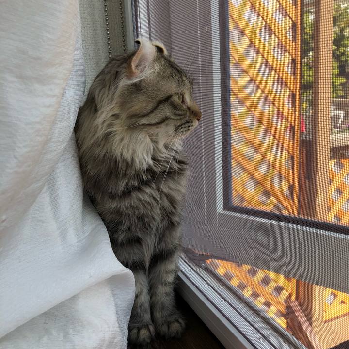 706aa4a6 a550 4d26 b1b1 12829eb17911 1526015792672