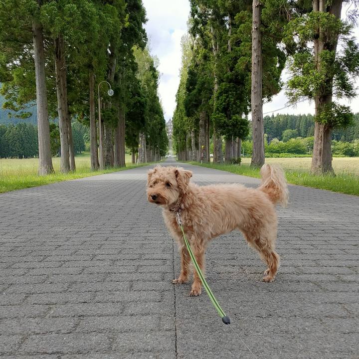 706ab754 d3e9 42f5 a097 dfd99ba5ec5d 1592630417545