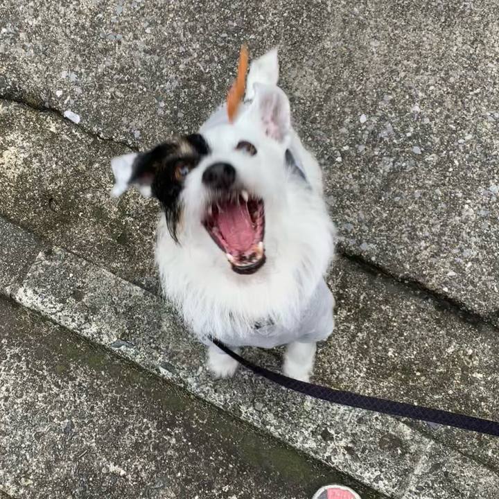 706ad929 a729 480f 9ea7 79486d21c079 1686298807262