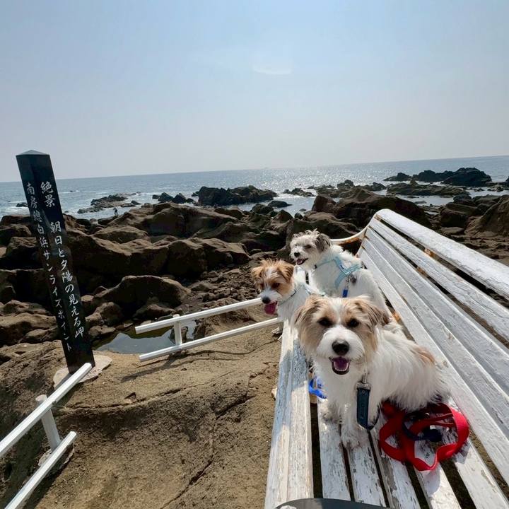 706aebc9 e011 4abc beb1 9195c21deedf 1774788267648