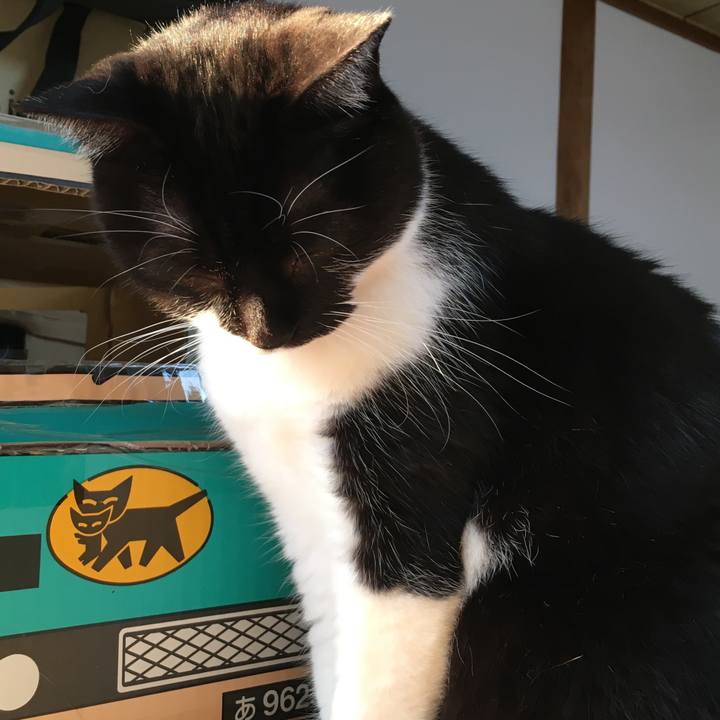 706af5cd 284d 4dd3 b225 bcf6dc213dad 1512458412254