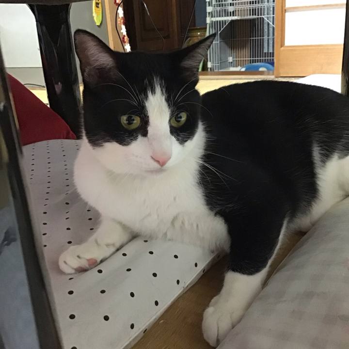 706b33cf 86b3 4eb7 a6bf e3b3813329df 1689849370308