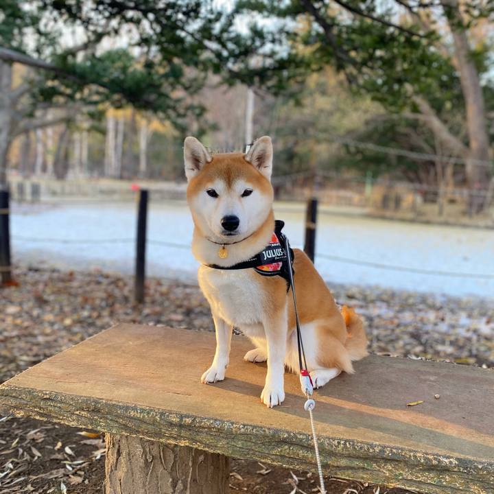 706b4c33 44dd 44d6 acef d44773a0d123 1607388685800