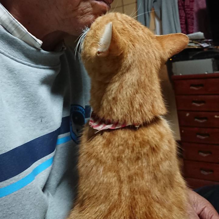 706b60f5 e2cc 4a10 99d3 8d6030fe6c30 1606246953865