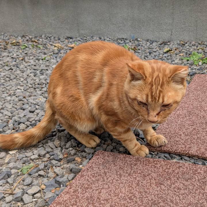 706bea81 9cba 4bef ba3c a548cc861be4 1760225412419