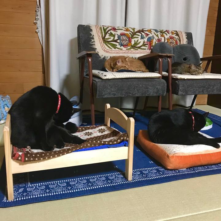 706bef47 11bb 44b5 957b e03e6debc7ed 1525180413431