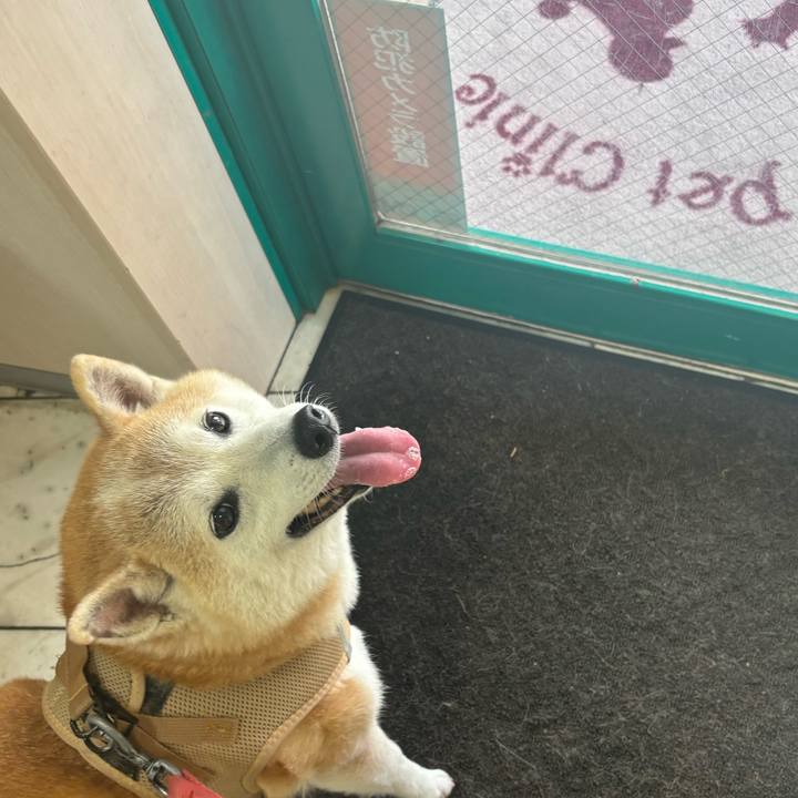 706bf67f d4c3 469e b074 1baa0e7b6ad1 1749419445314