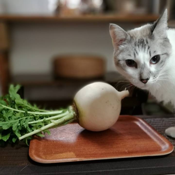 706bfc32 5eb4 4922 a9ce 046aa8ad47a0 1520217859228