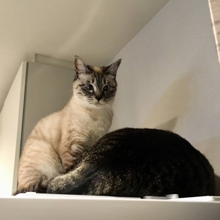 706c40b2 70d2 4461 92f6 990d198c15e2 1585474882899