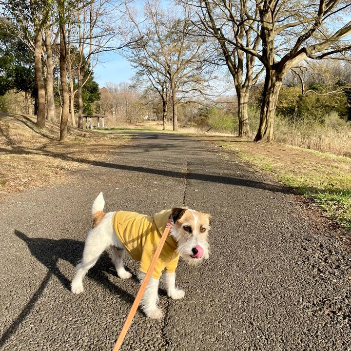 706c50d5 2b5e 4aa6 88fa 9905562f3825 1678964535370