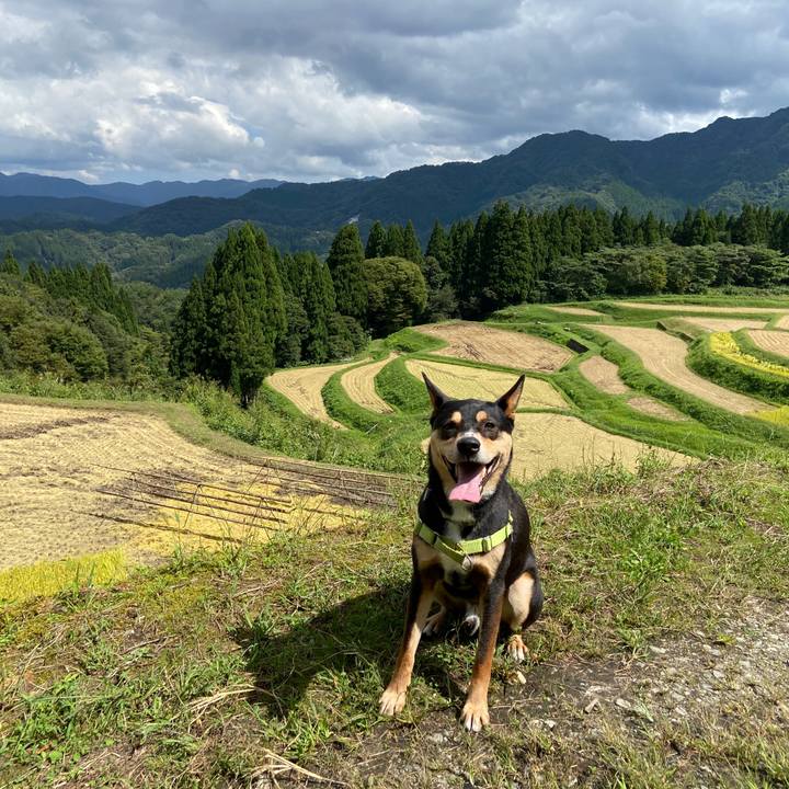 706c60f9 d66c 48bf b0f5 e5c1d66d9956 1632129031153