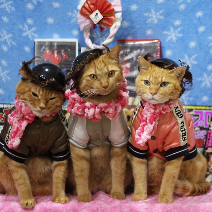 706c6ecd fcf5 4804 a6ee 995862f1a62e 1609467274063