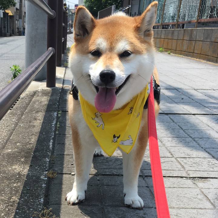 706d4781 7a12 4b94 b169 11b73f38b47b 1591326837628