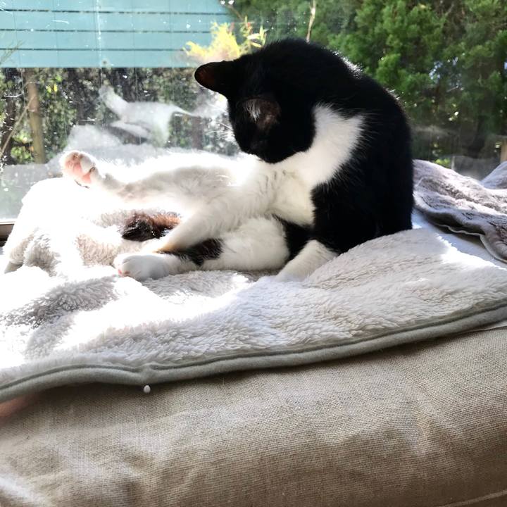 706d5f80 2821 4531 9e22 caa7c224c173 1512790019469