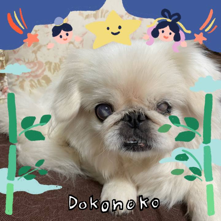 706db2ce 6b60 4217 9ef3 913704367ab9 1720767270602