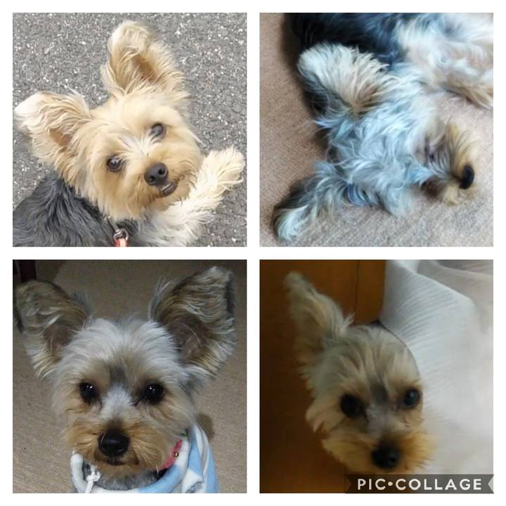 706deec6 8f9d 4b85 ae87 0108240cfafc 1561265240097