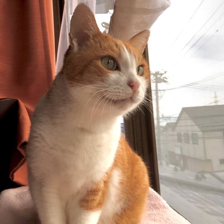 706e09b3 68e6 420c 91c1 c89941dfee2e 1576048931741