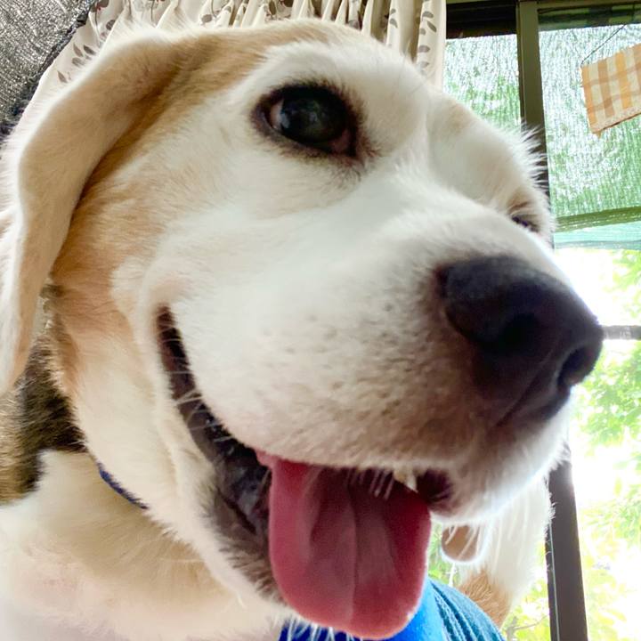 706e174a 24da 47c9 b795 b8f55fa73505 1622173566834