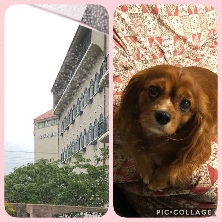 706e19a0 c9e2 4471 816c 09930ec5d23a 1595025897297