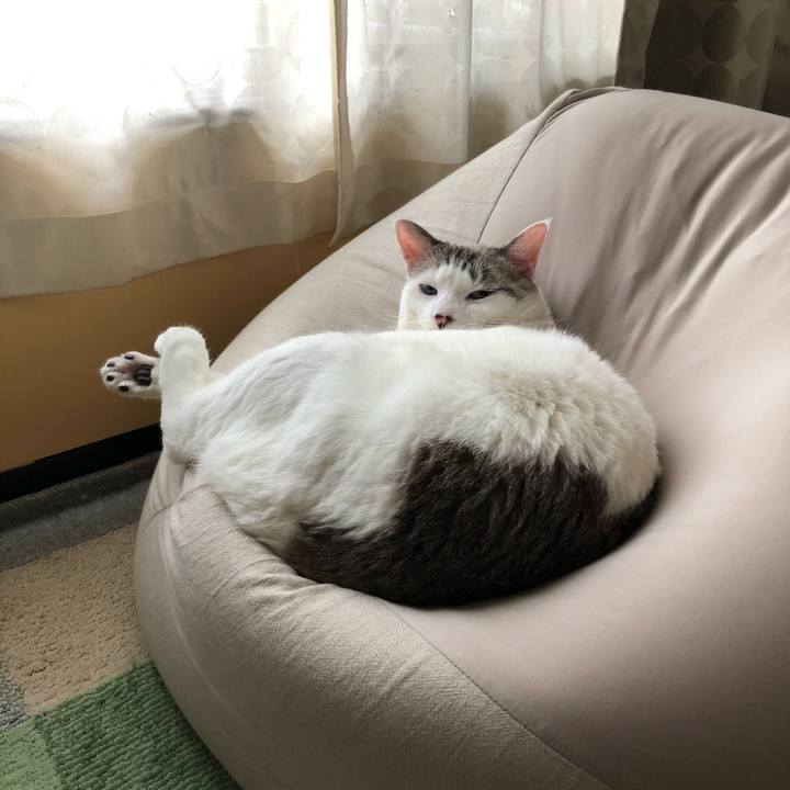 706e3a81 c1ed 4e15 bdc8 00b2657e134d 1575954193972