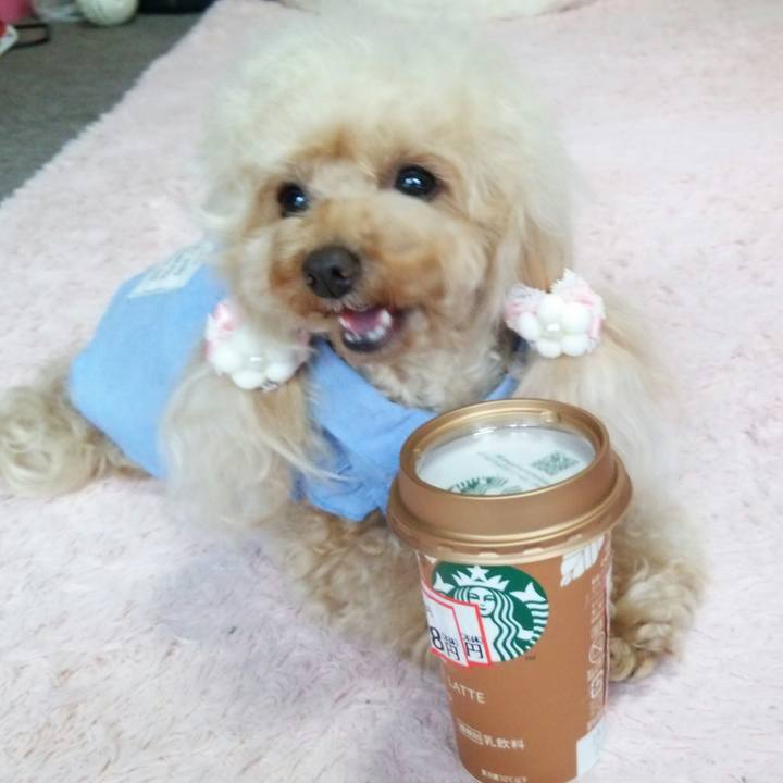 706e488a 8c42 43aa b296 60602c1e89c7 1559366432891