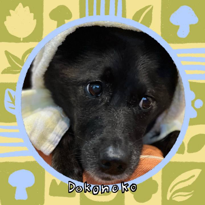 706e6931 2ddd 4feb 9df1 9c47f639a93d 1761726485354