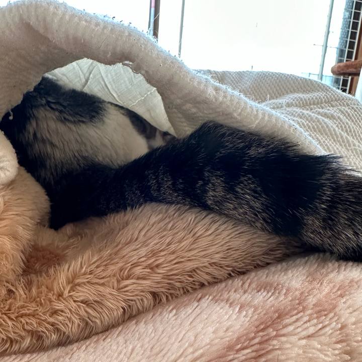 706e789b 3e93 4008 8baf 3b11f32cb9d6 1670810123699