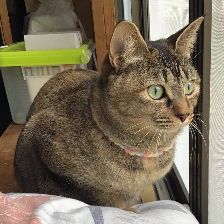 706e8175 cc21 4693 9508 bf64c9bb7246 1615875450839