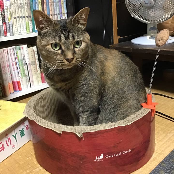 706e9ae5 2330 4469 a976 bf5705cd66f8 1689509584720