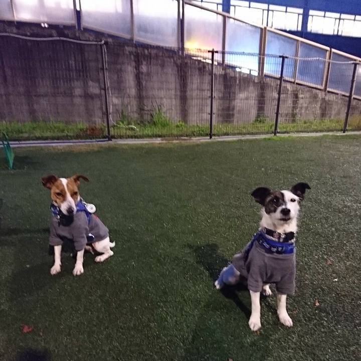 706eb9bd 9194 4a83 86b1 f6d25fd5c043 1541882935166