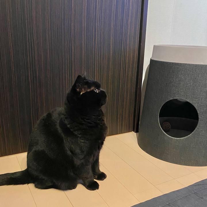 706ed75f 7e5d 4d27 9e45 4731fc87896f 1741522875247