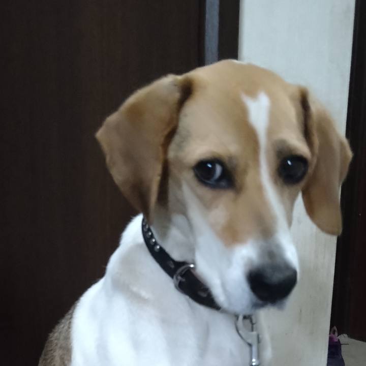 706edfdf 16b3 46f4 a924 aa40169cddf3 1622806531751