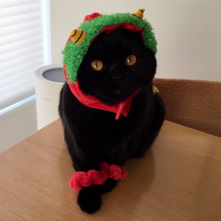 706ee73f fe02 427d 8e8a 02d658184aa3 1517614449748