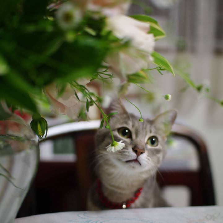 706eea62 6f87 4963 8227 2dae48c860fc 1557449627278