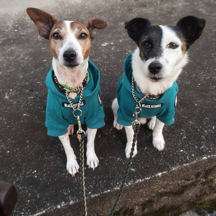 706f0896 5faf 4682 9d89 7ac8238e46d8 1764280710806