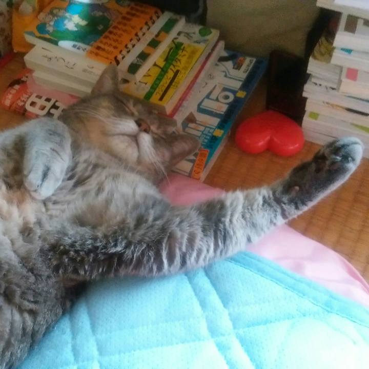 706f2b7d 452f 413c aab9 8dcd7f4138ec 1537261157296