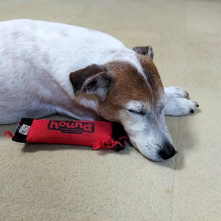 706f37d3 4111 4aff bab7 5b07a8b4895f 1545916598145