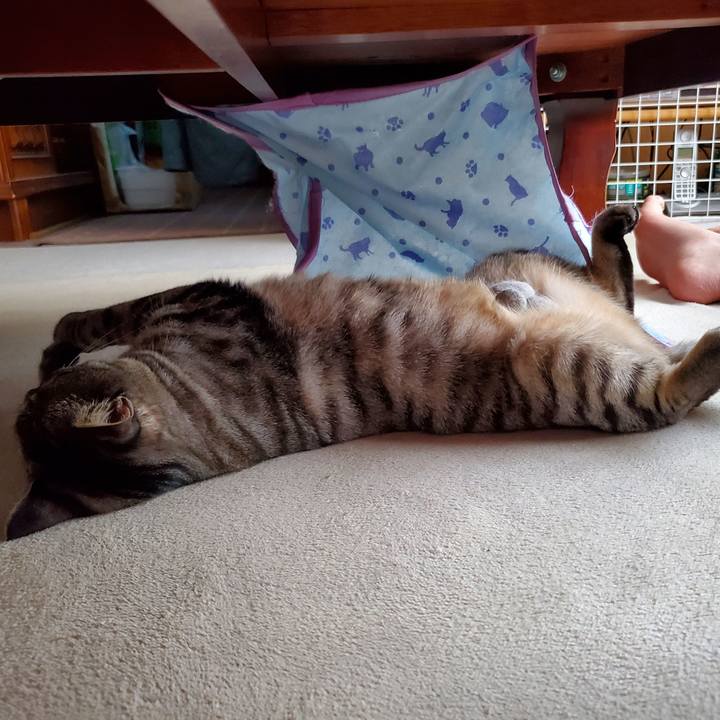 706f48e5 a4e1 4444 baad f14378633764 1704380047161