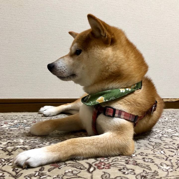 706f54a4 4c8f 44c2 80b7 ef932206d0a7 1533351388897