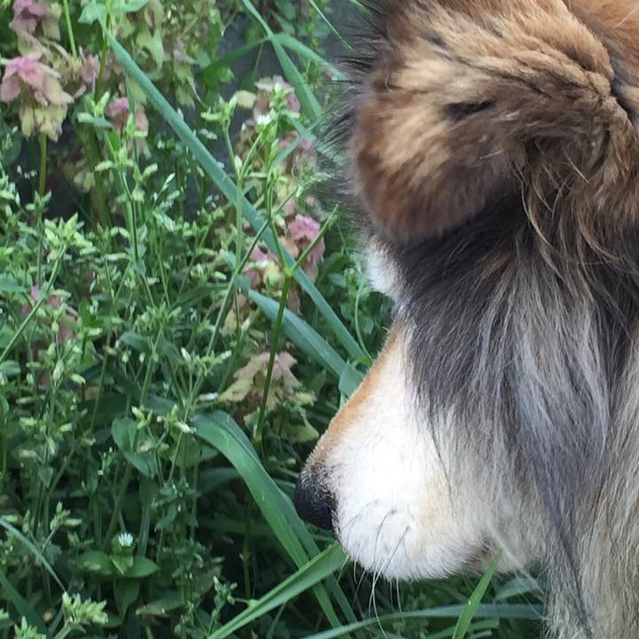 706f61ef 9f9d 457b b04d b21337d6e17c 1561835897078